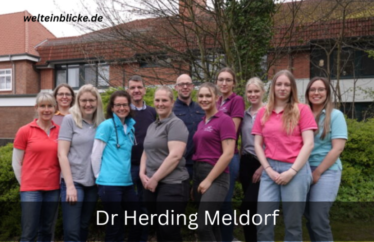 dr herding meldorf